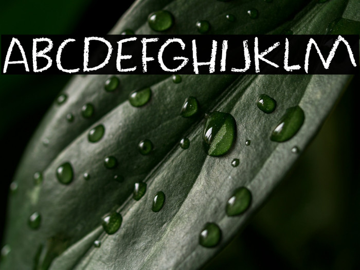 Crayon Works DEMO Regular Example 3