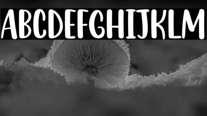 Crayon Font examples