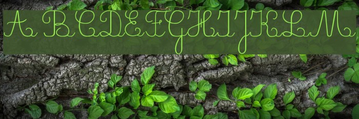 CrayonL Font examples