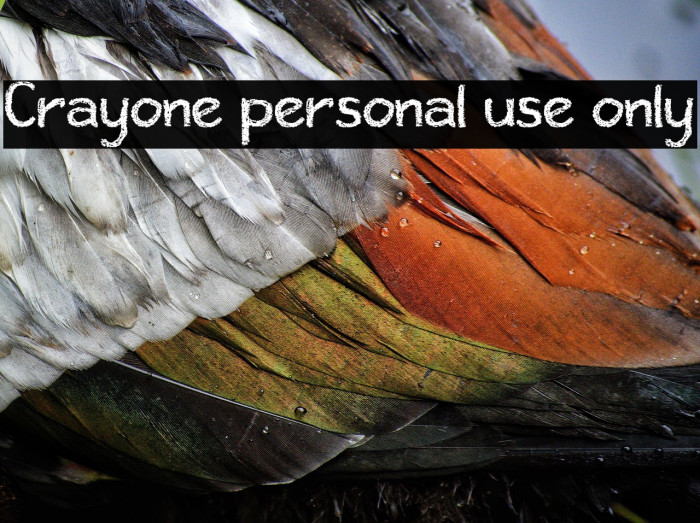 Crayone personal use only Example 1