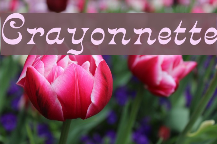 Crayonnette Font examples
