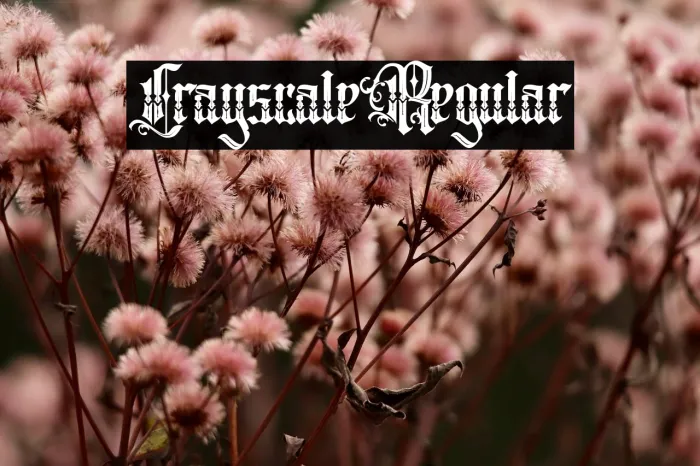 Crayscale Regular Example 1