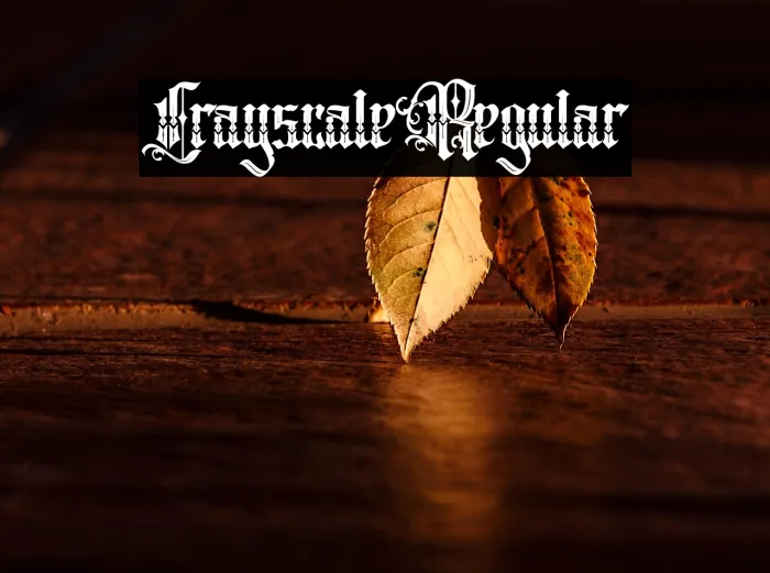 Crayscale Regular Example 2