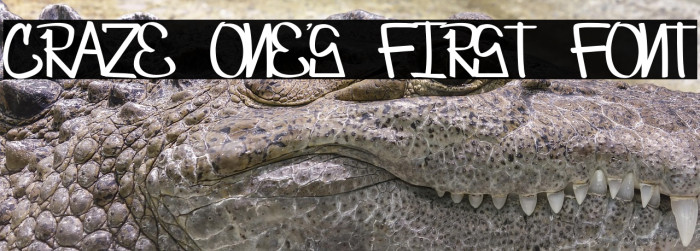 Craze One's first font Example 1