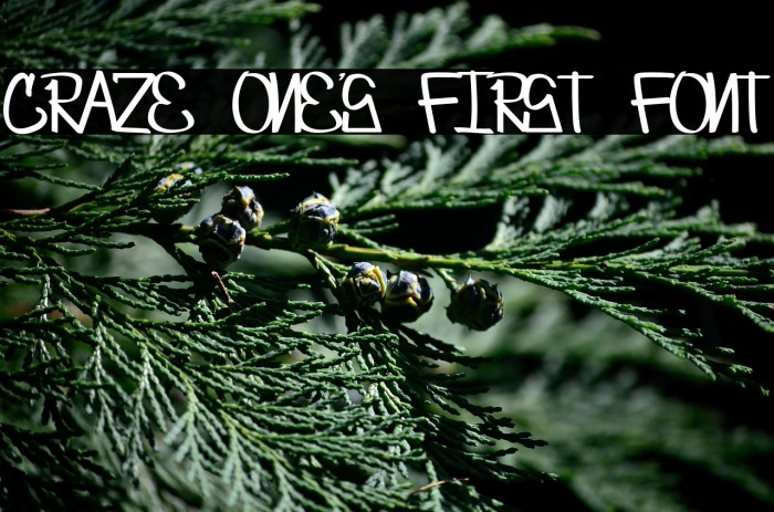 Craze One's first font Example 3