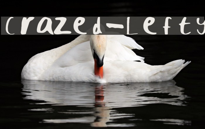 Crazed-Lefty Font examples