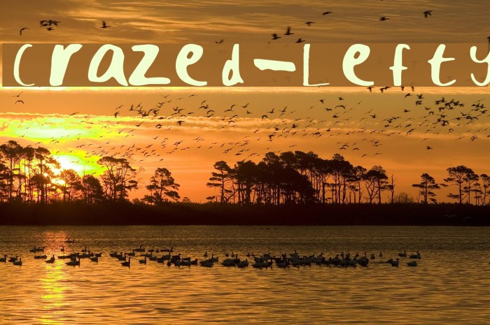 Crazed-Lefty Font examples