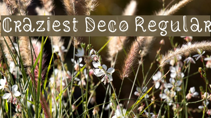 Craziest Deco Regular Font examples
