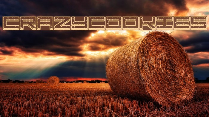 Crazy COokies Example 3