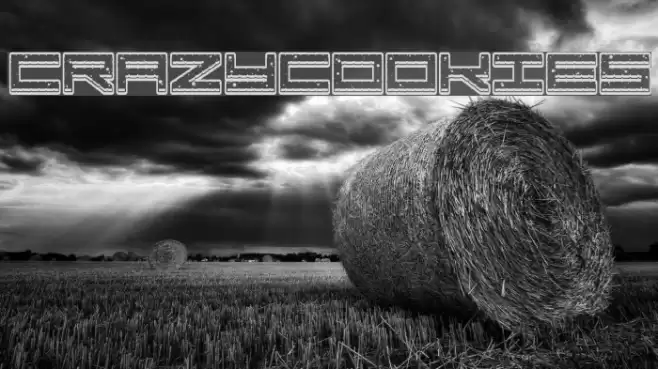 Crazy COokies Font examples