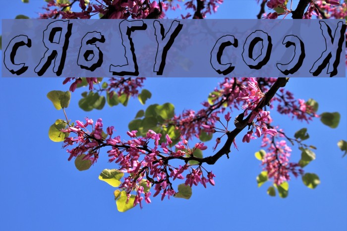 Crazy Cock Font examples