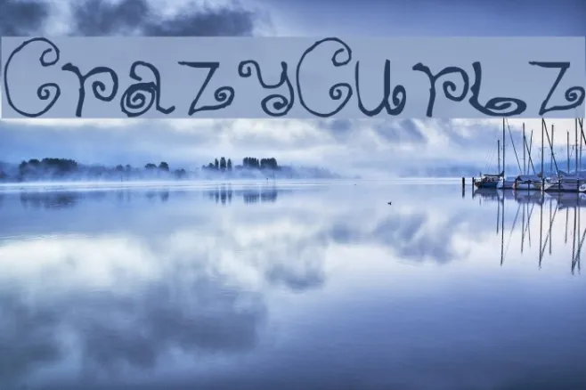 Crazy Curlz Example 3