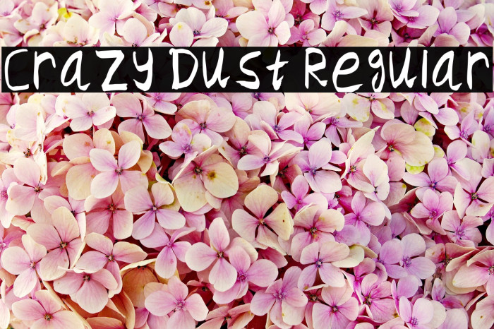 Crazy Dust Regular Font examples