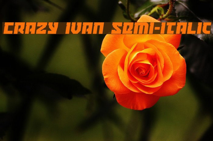 Crazy Ivan Semi-Italic Font examples
