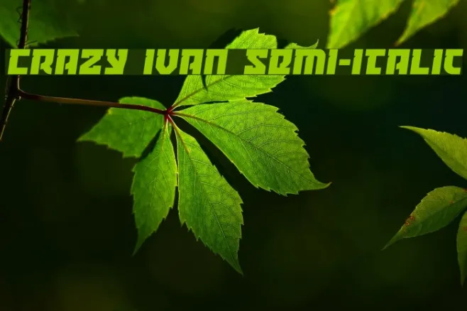 Crazy Ivan Semi-Italic Example 3
