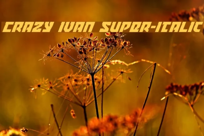 Crazy Ivan Super-Italic Example 1