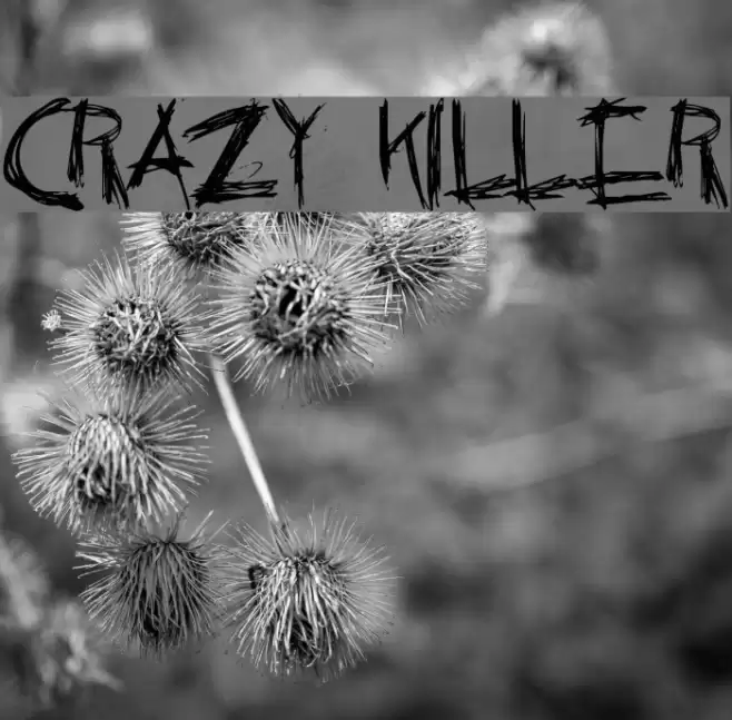 Crazy Killer Font examples