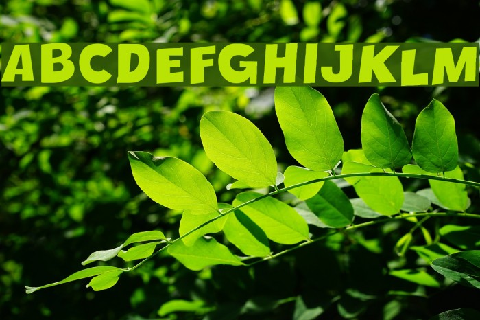 Crazy Krabs Font examples