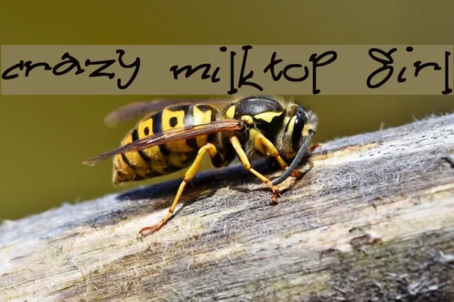 Crazy Milktop Girl Example 3