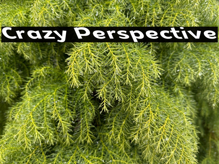 Crazy Perspective Example 2