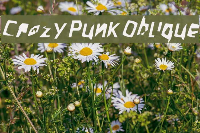 Crazy Punk Oblique Example 2