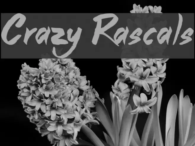 Crazy Rascals Font examples