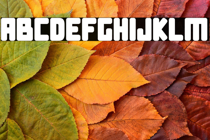 Crazy Robot Example 1