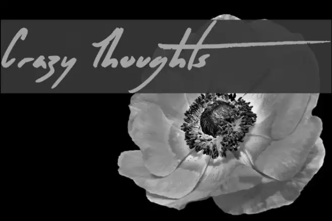 Crazy Thoughts Font examples