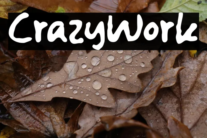 Crazy Work Example 3