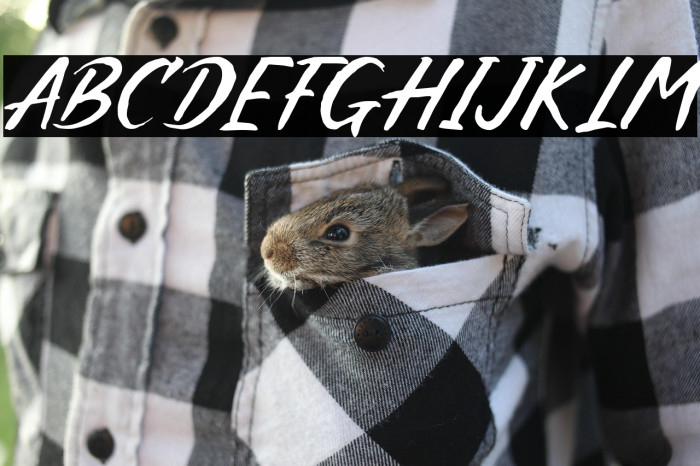 Crazy Xeon Example 3