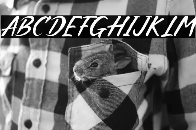 Crazy Xeon Font examples