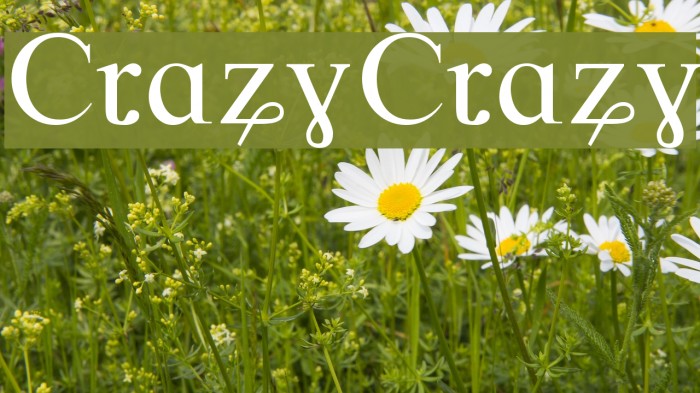 CrazyCrazy Font examples