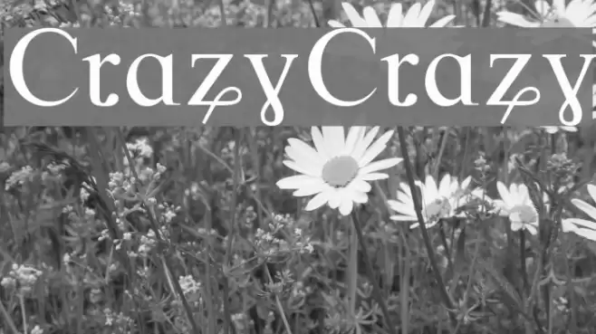 CrazyCrazy  examples