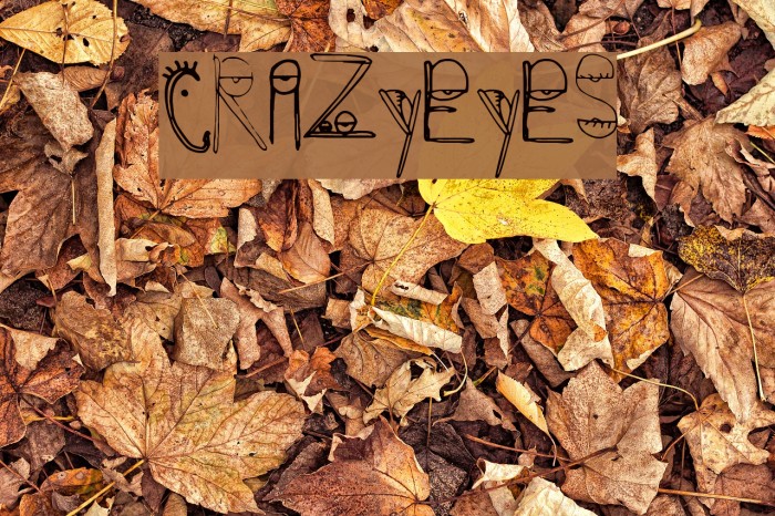 CrazyEyes Font examples