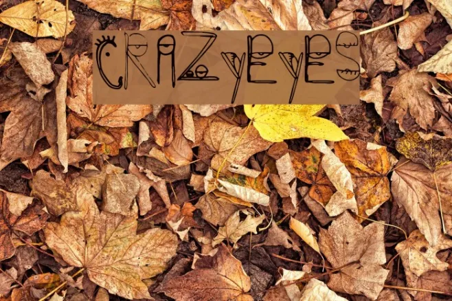CrazyEyes Example 3