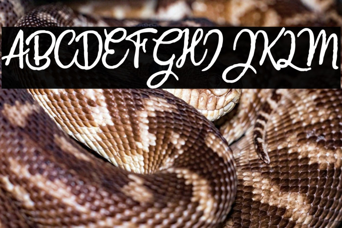 CrazySummerPersonalUse-Reg Example 3