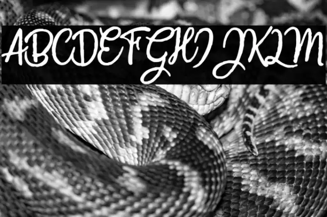 CrazySummerPersonalUse-Reg Font examples