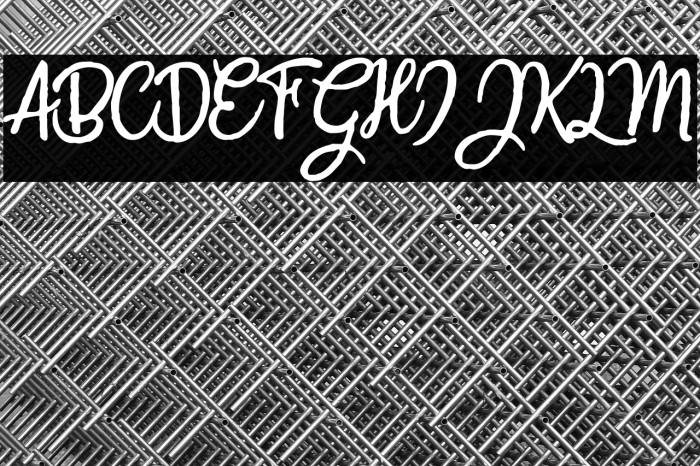 CrazySummerPersonalUse-Reg Example 1