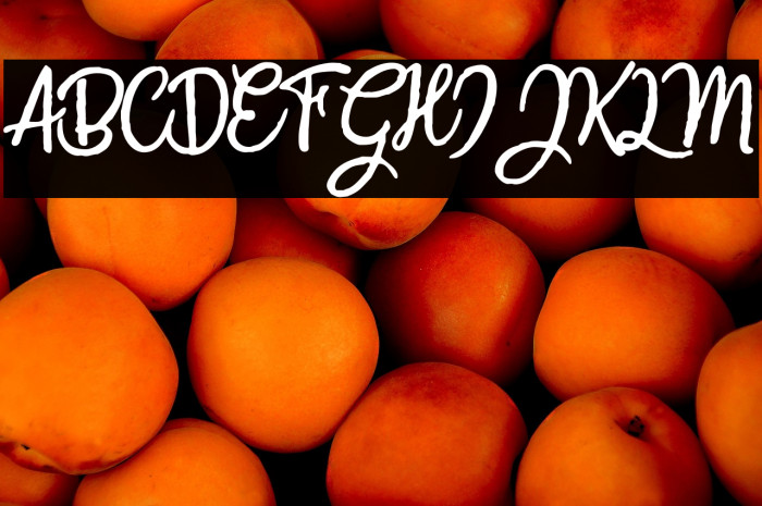 CrazySummerPersonalUse-Reg Example 2