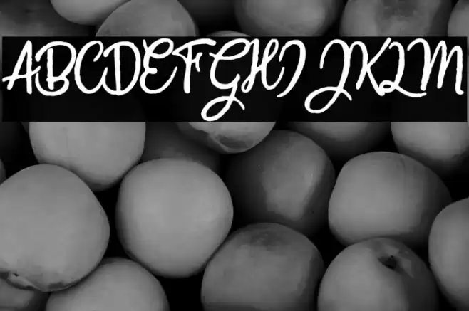 CrazySummerPersonalUse-Reg Font examples