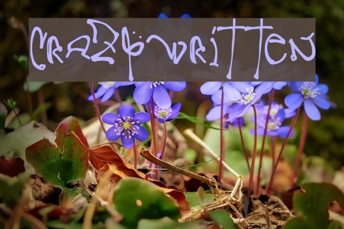 CrazyWritten Font examples