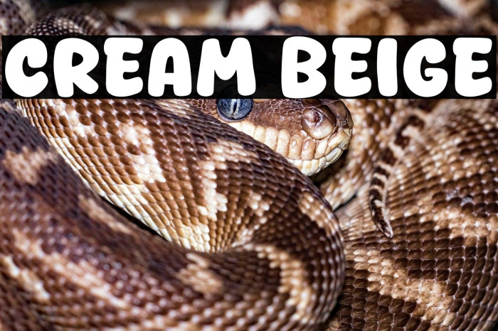 Cream Beige Example 1