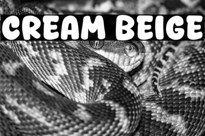 Cream Beige Font examples