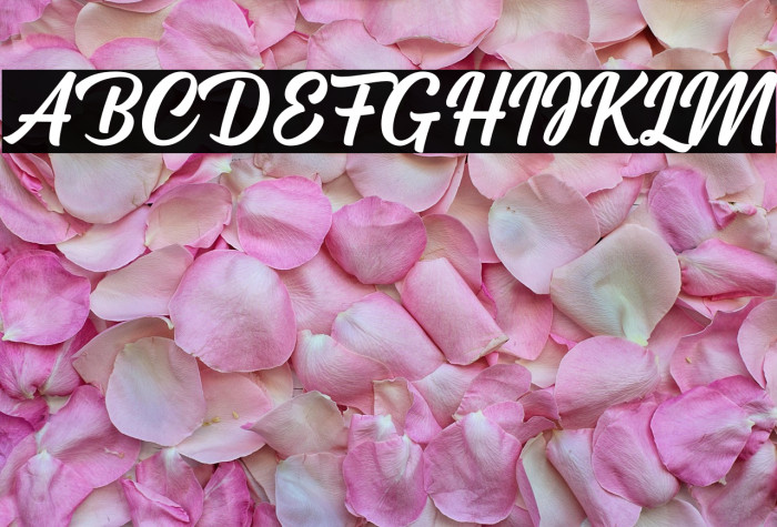 Cream Cake Example 1