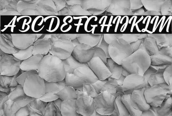 Cream Cake Font examples