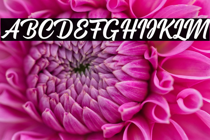 Cream Cake Example 2