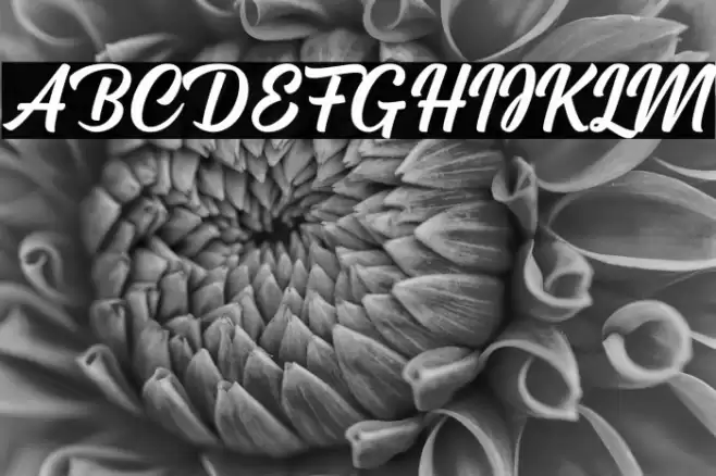 Cream Cake Font examples