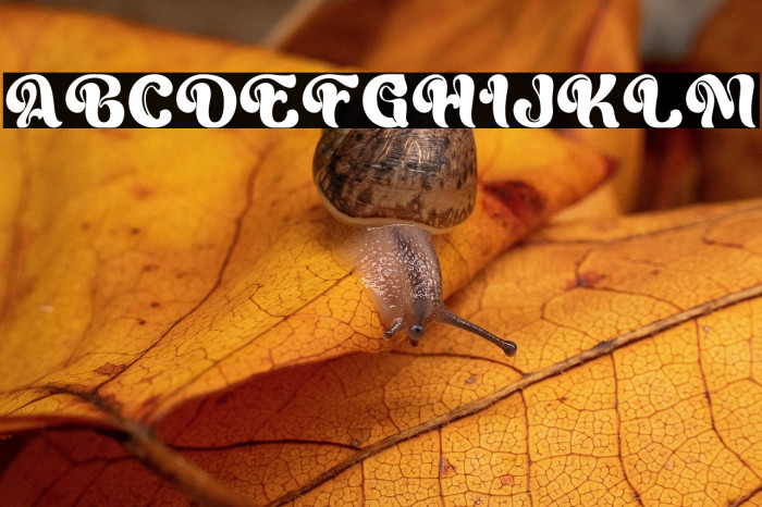 Cream Cheese Demo Example 1