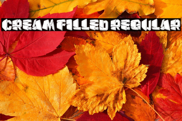 Cream Filled Regular Example 1