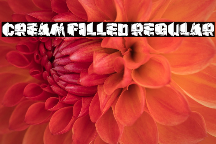 Cream Filled Regular Example 3